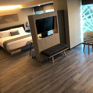 Suite con Cama King